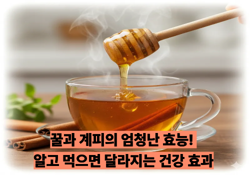 꿀과 계피의 엄청난 효능! 알고 먹으면 달라지는 건강 효과