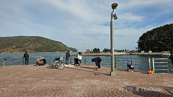 낚시가서 사용한 온도샵 발열장갑 후기