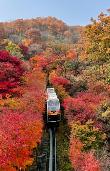 10월 화담숲 취소표 예약 관련 사진
