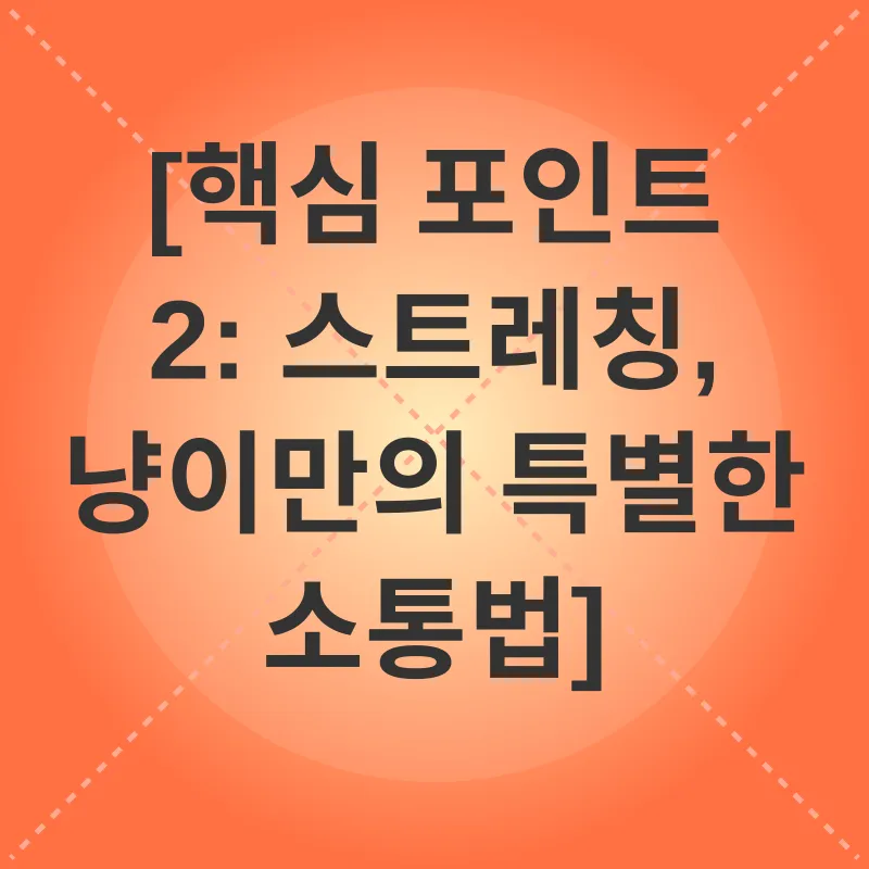 고양이 행동 이해_2