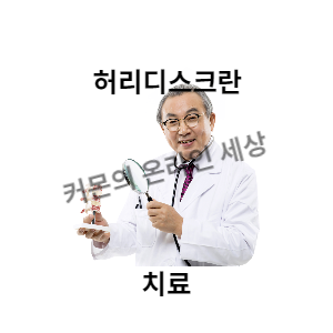허리디스크란