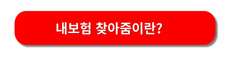 내보험찾아줌-서비스