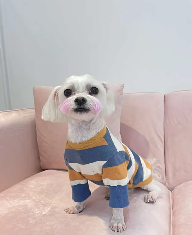 네일도 슬기롭게