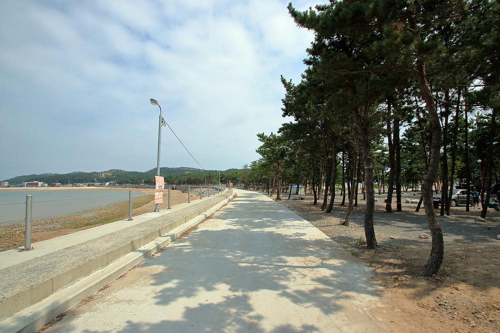 태안군 어은돌 송림캠핑장 소개