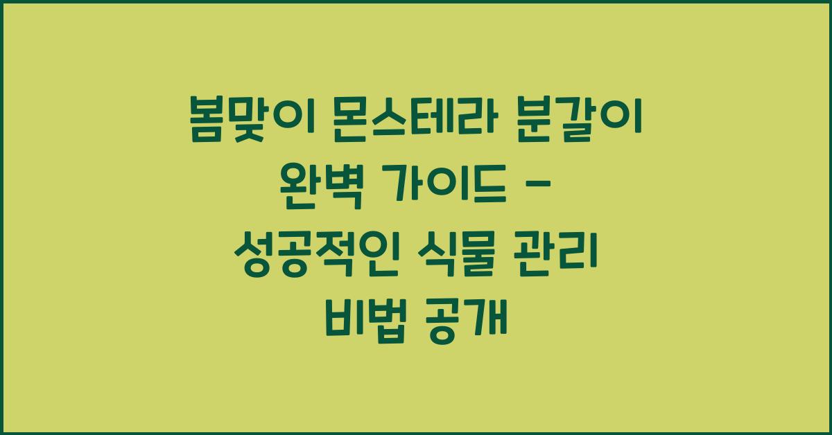 봄맞이 몬스테라 분갈이 완벽 가이드 - 시기부터 배양토 비율까지
