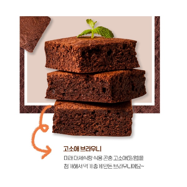 곤충킹에서 만든 밀웜가루가 들어간 브라우니