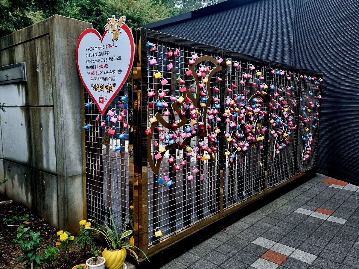 동해 가볼만한곳 천곡황금박쥐동굴 후기 비 오는 날 좋은 실내 여행지