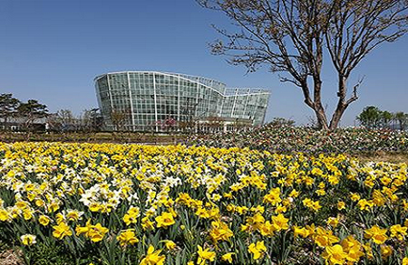 [4월~5월 여행지]만개한 꽃잔디와 봄날의 감동, 거창창포원에서 만난 힐링의 순간