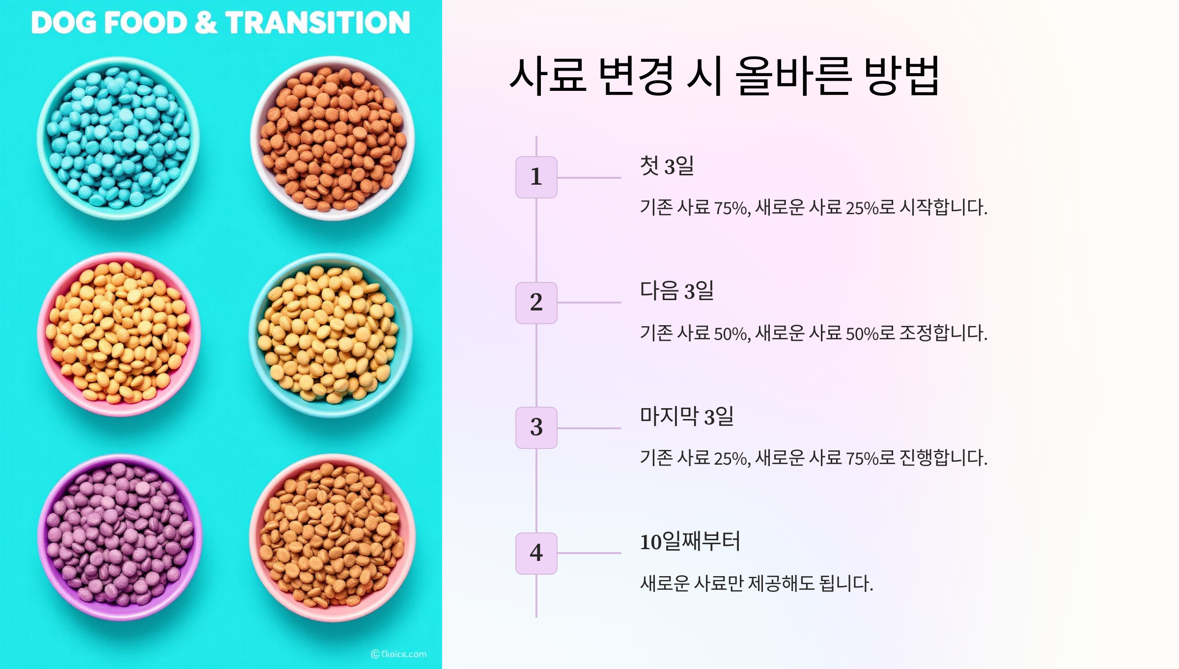 사료 변경 시 올바른 방법