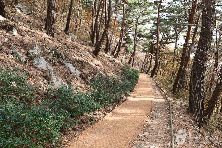 만연산