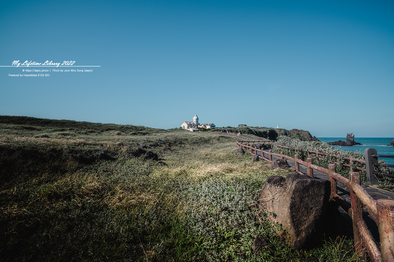 #제주 #섭지코지 #2022제주여행