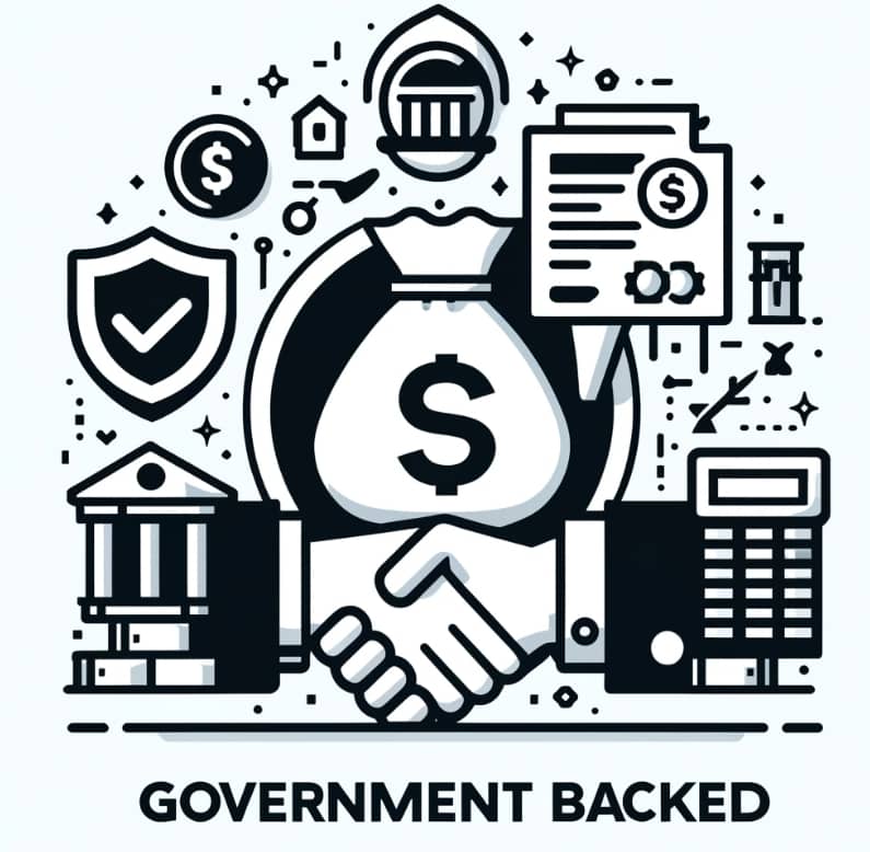 정부 지원 대출