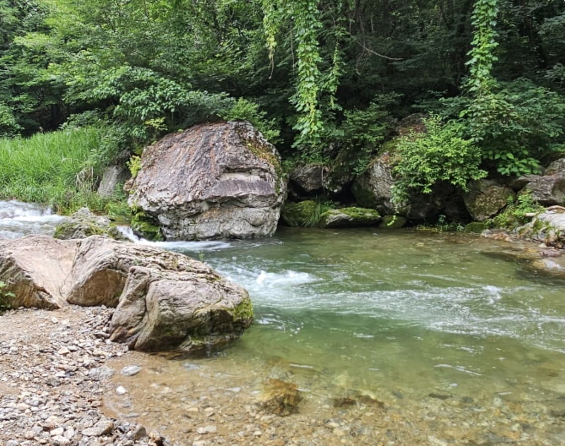 수동계곡이 흐르는 모습_1