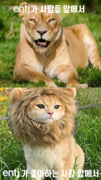 ENTJ