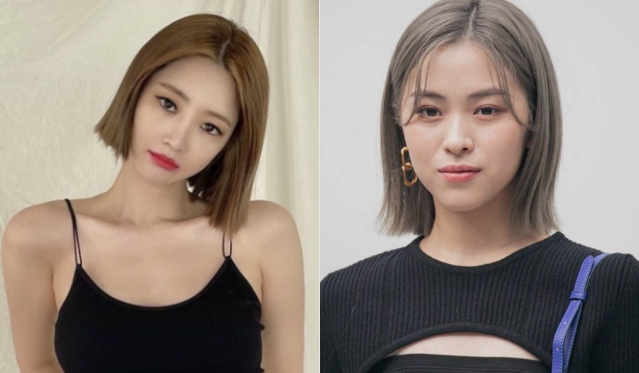 테슬컷