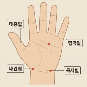 회사에서 졸릴때 잠깨는 혈자리 지압법 효과적 방법_2