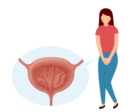 방광염의 주요증상
