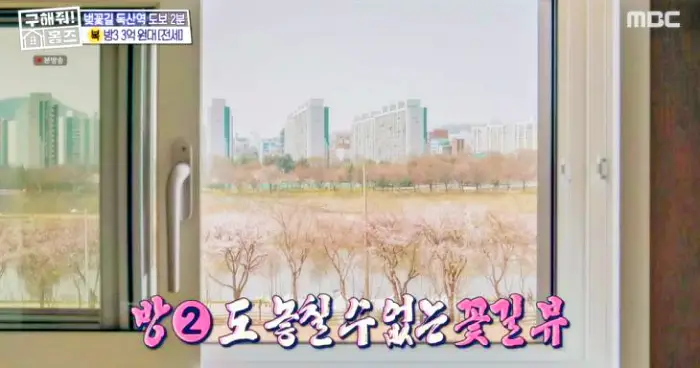 구해줘홈즈 서울 전세 강남역 40분 투룸 3억 8천 반전세 월세 50만 조실장 박하나 문희경 우화한세계 이거에반하니 세상에일원집이 투룸인가벽 금사빠천사빠 소개