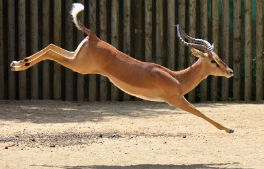 전립선암 초기증상 32