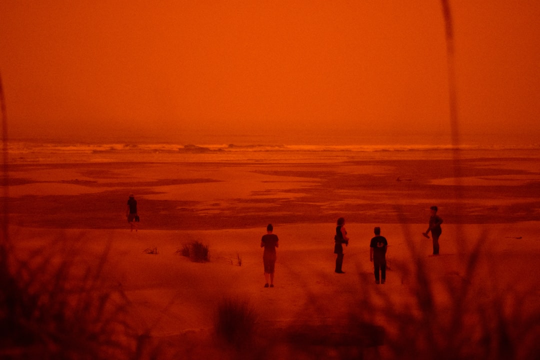 Wildfire