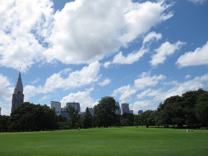 도쿄 여행 추천 신주쿠 교엔