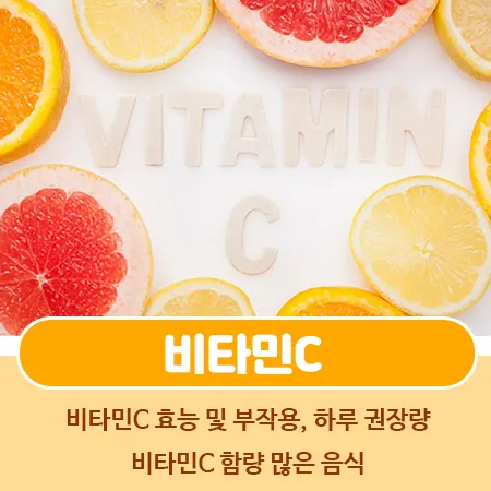 비타민C 효능
