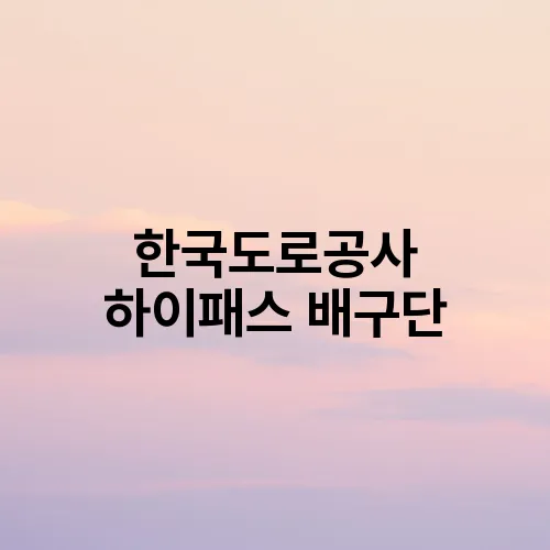 한국도로공사 하이패스 배구단