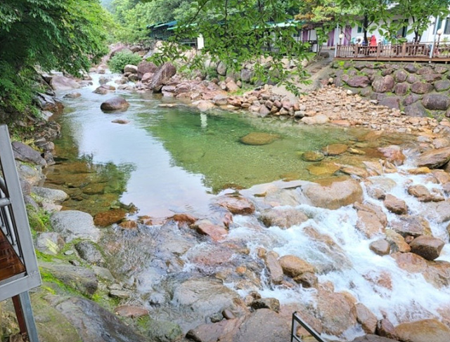 광양계곡 식당 산장 추천 닭구이 바비큐 사진 여행