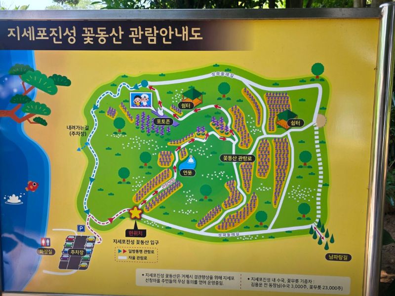 지세포진성꽃동산