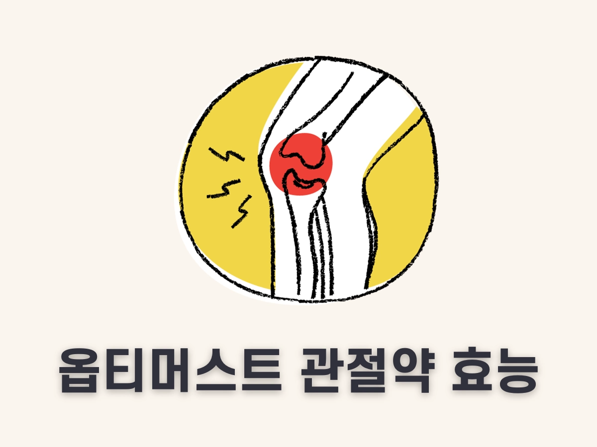 옵티머스트 관절약 효능