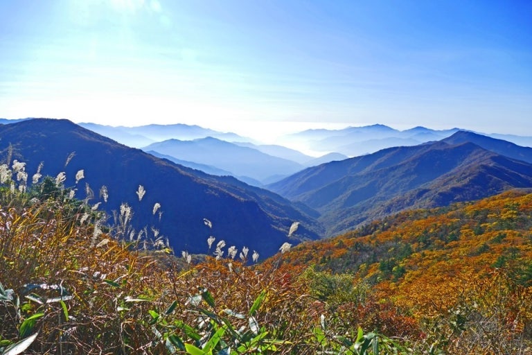 가을 단풍 명소