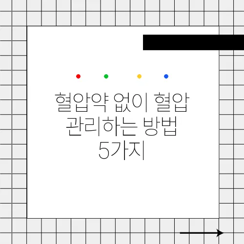 혈압약 없이 혈압 관리하는 방법 5가지