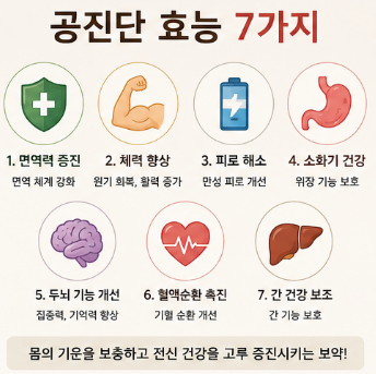 공진단-먹는법-효능-효과-가격-구입-종류