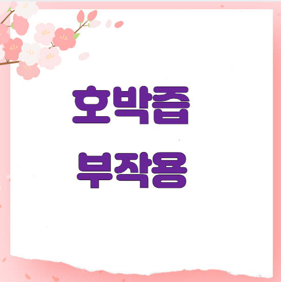 호박즙 부작용