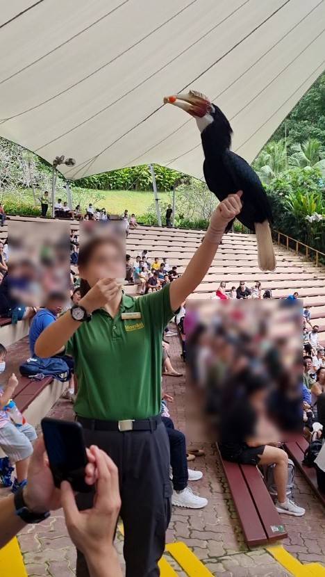 주롱 새 공원 Jurong Bird Park