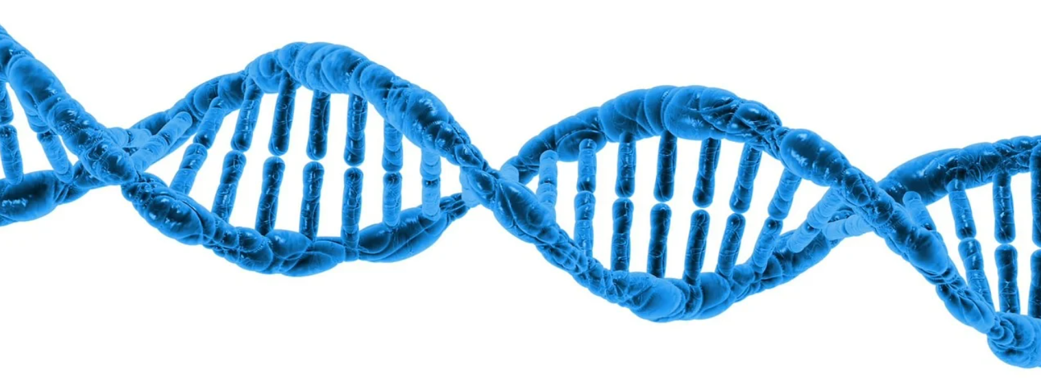 단백질 보충제 활용법 사진