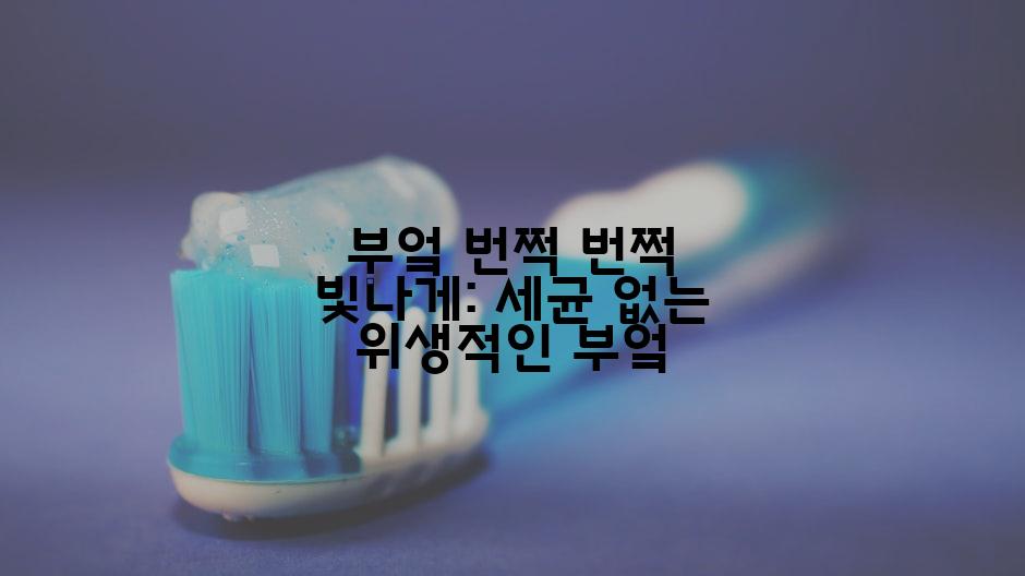 부엌 번쩍 번쩍 빛나게: 세균 없는 위생적인 부엌
