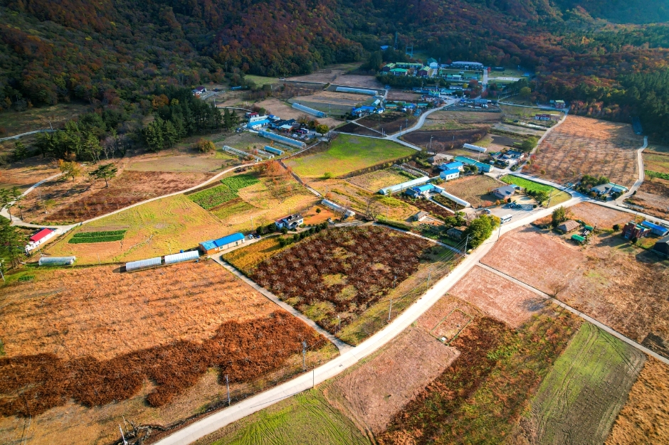 울릉도 가볼만한곳 베스트10