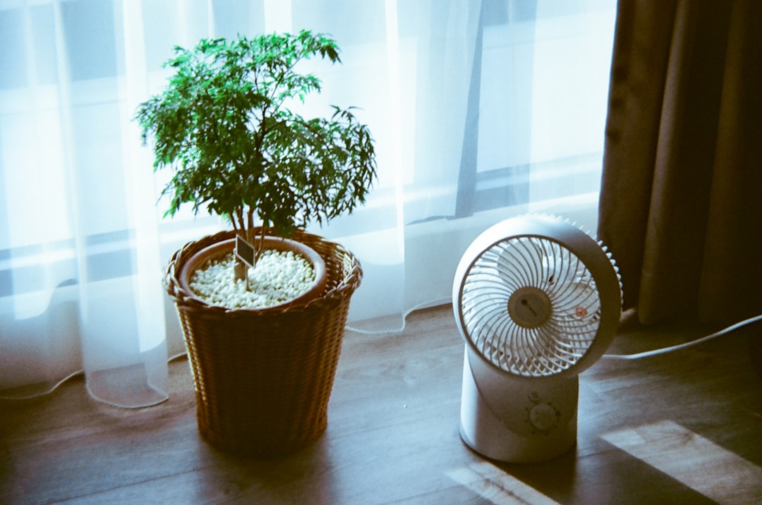 Humidifier