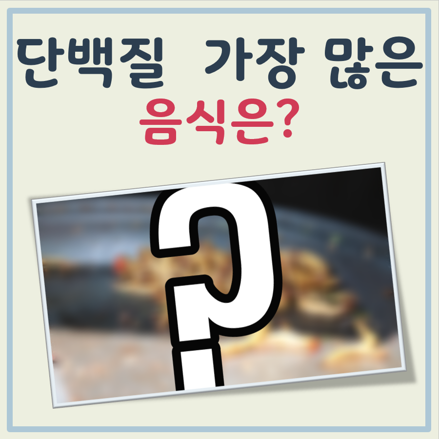단백질 가장많은 음식