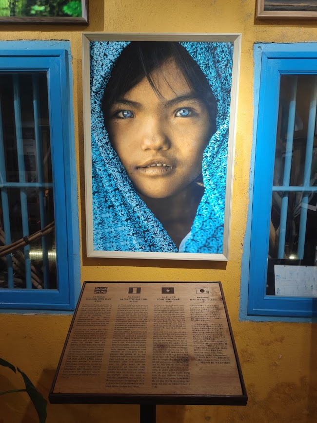 파란 눈을 가진 샴 소녀 An Phuoc의 초상