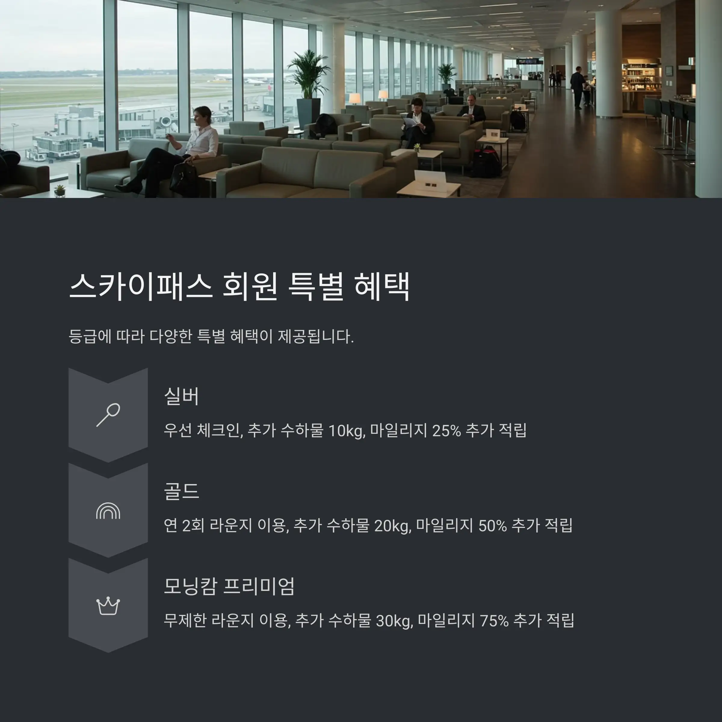 ⭐ 스카이패스 회원 전용 혜택 활용