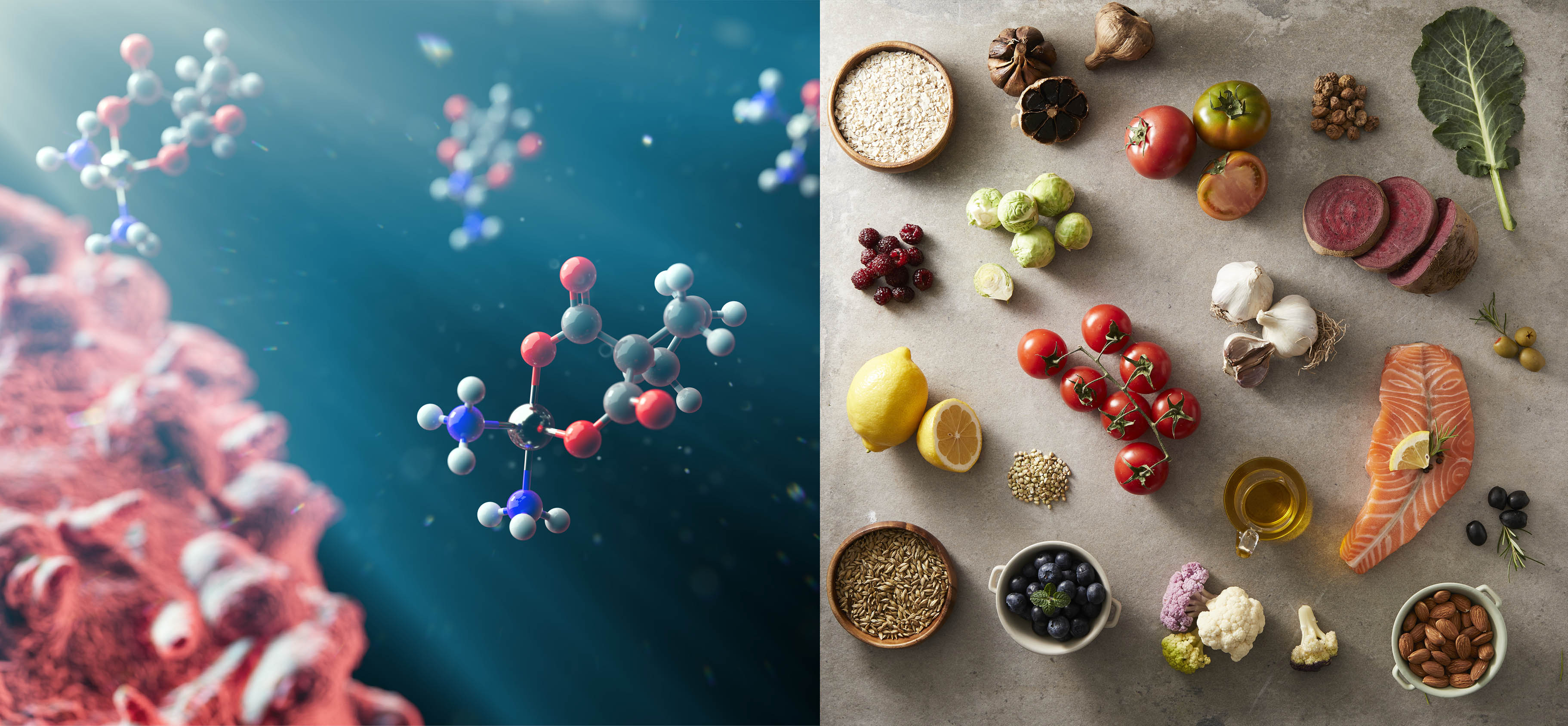 항암 치료 중 꼭 챙겨야 할 영양소