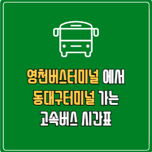 영천버스터미널에서 동대구터미널&nbsp;고속버스 시간표 요금 예매