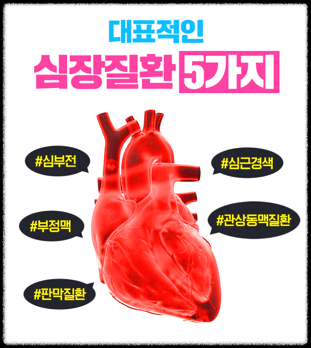 심장질환 증상별 분류표