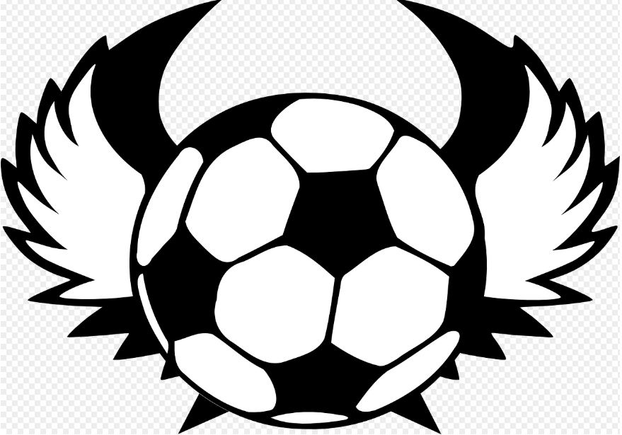 미국축구 MLS 관련 사진