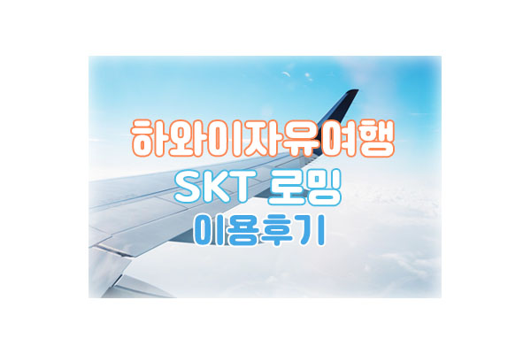 SKT로밍대표이미지