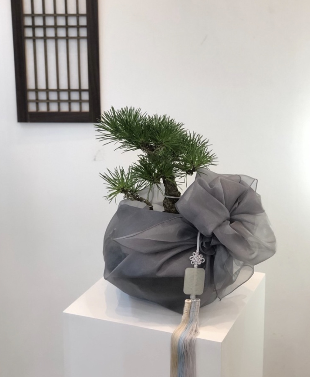 화분선물