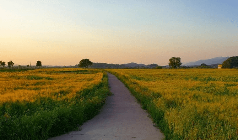 함안 가볼만한곳 베스트10