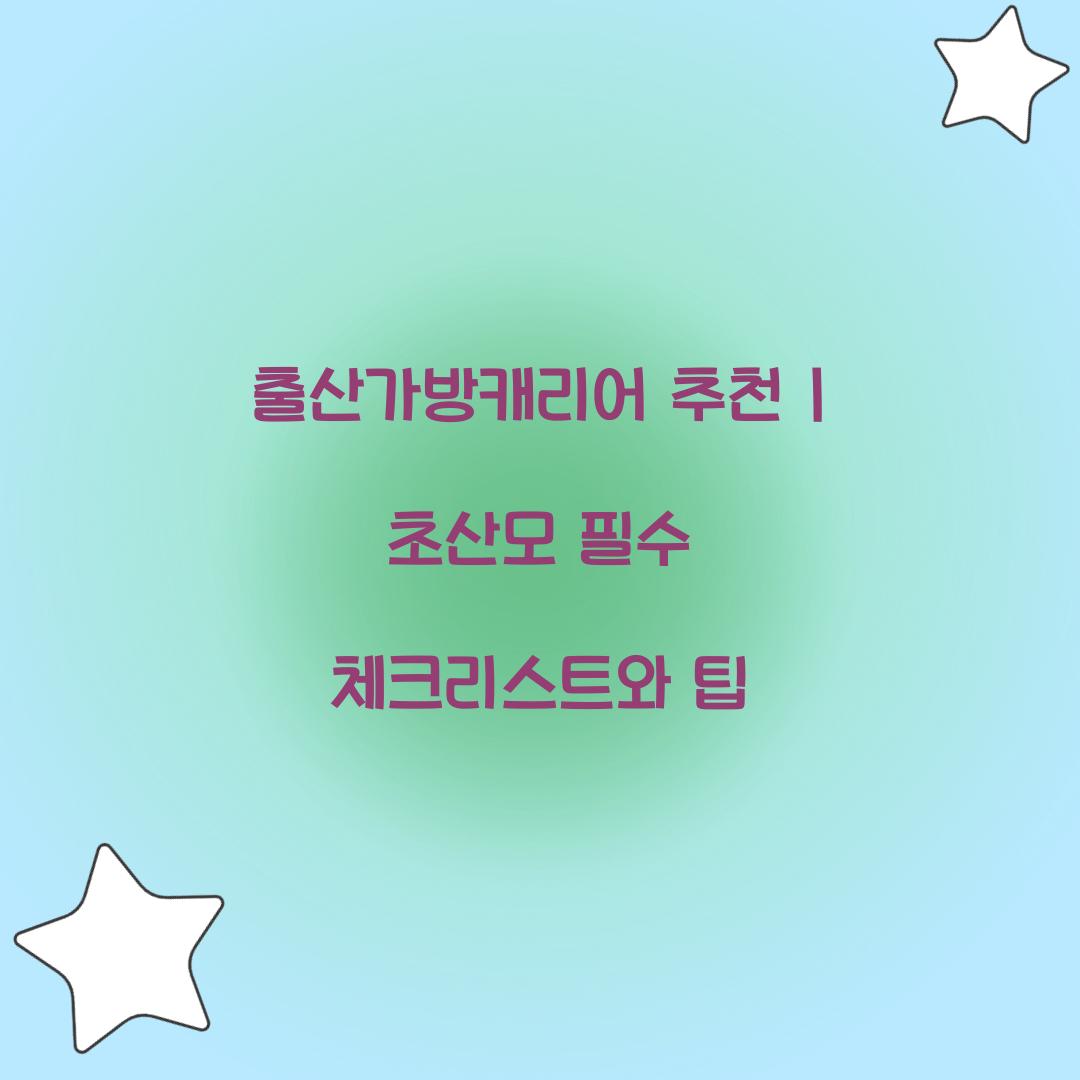 출산가방캐리어 추천